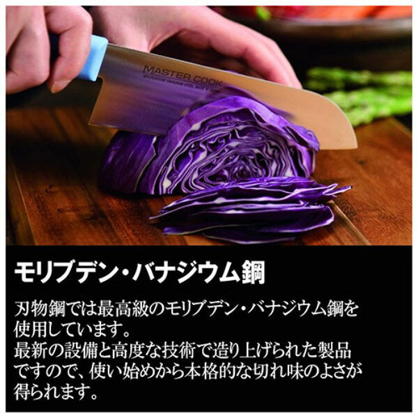 雑貨&カー用品 アーティクルのマスターコック 菜切 80604 片岡製作所｜アングル2