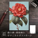 ポストカード ツバキ 【送料無料】 ボタニカル 葉書 はがき ハガキ 絵葉書 絵はがき グリーティングカード バレンタインカード クリスマスカード バースデーカ...