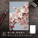 ポストカード サクラ 【送料無料】 ボタニカル 葉書 はがき ハガキ 絵葉書 絵はがき グリーティングカード メッセージカード クリスマスカード バースデーカー...