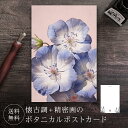 ポストカード ネモフィラ 【送料無料】 ボタニカル 葉書 はがき ハガキ 絵葉書 絵はがき グリーティングカード メッセージカード クリスマスカード バースデー...