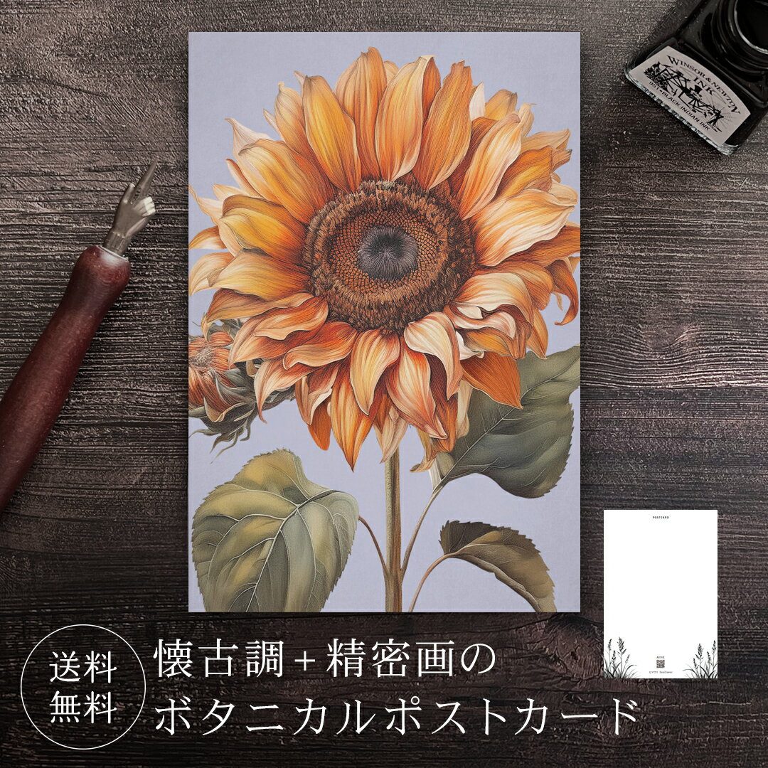 ポストカード ヒマワリ 【送料無料】 ボタニカル 葉書 はがき ハガキ 絵葉書 絵はがき グリーティングカード メッセージカード クリスマスカード バースデーカ...