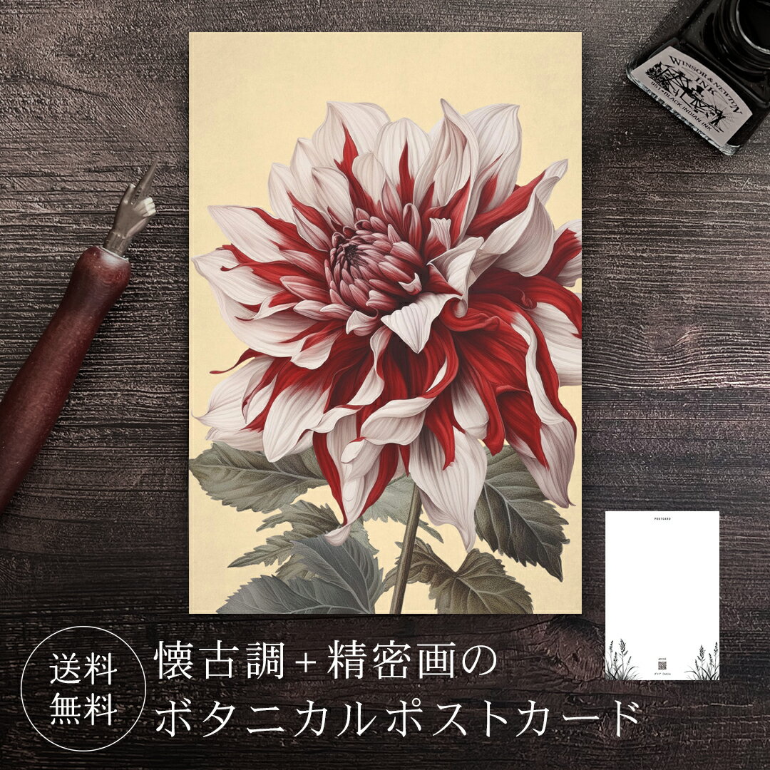 ポストカード ダリア 【送料無料】 ボタニカル 葉書 はがき ハガキ 絵葉書 絵はがき グリーティングカード メッセージカード クリスマスカード バースデーカー...