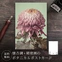 ポストカード キク 【送料無料】 ボタニカル 葉書 はがき ハガキ 絵葉書 絵はがき グリーティングカード メッセージカード クリスマスカード バースデーカード...