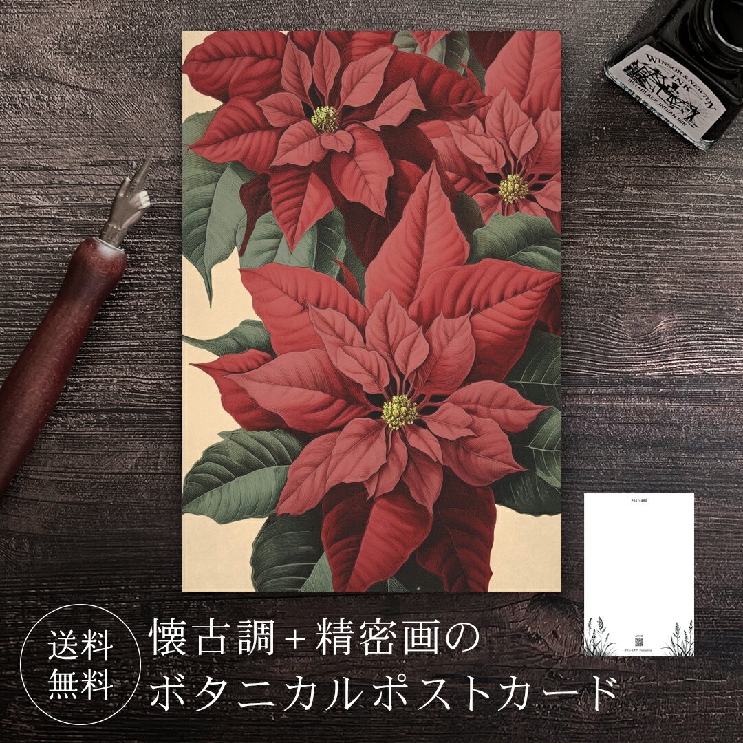 ポストカード ポインセチア 【送料無料】 ボタニカル 葉書 はがき ハガキ 絵葉書 絵はがき グリーティングカード メッセージカード クリスマスカード バースデ...