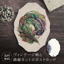 ポストカード 羽根 【送料無料】 ヴィンテージ 葉書 はがき ハガキ 絵葉書 絵はがき グリーティングカード メッセージカード クリスマスカード バースデーカー...