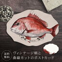 ポストカード 鯛 【送料無料】 ヴィンテージ 葉書 はがき ハガキ 絵葉書 絵はがき グリーティングカード メッセージカード クリスマスカード バースデーカード...