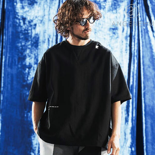 2026 春夏 先行予約 6月中旬～下旬入荷予定 ANGENEHM アンゲネーム Interlock Fabric T-shirt メンズ Tシャツ 送料無料 キャンセル不可