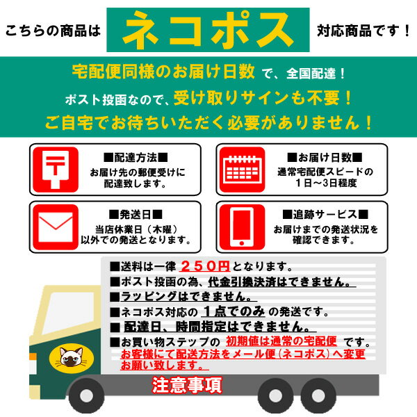 ZEPHYREN ���ե���� STUDS PIERCE z16uy01 zephyren ��� �ԥ��� ���������꡼ ���奨�꡼��ʪ �����å� ������� ���ä����� ����С� �� ������� �� ����ƥ����� �᥿�� ���ȥ꡼��