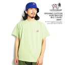 楽天ARTIFThe Endless Summer エンドレスサマー TES ORGANIC COTTON HUNTINGTON BIG T-SHIRT -MINT- メンズ Tシャツ 半袖 TES USコットン 送料無料 ストリート