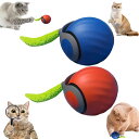 インタラクティブ猫玩具ボール、尾付き、2段階速度調整(オレンジ + ブルー)