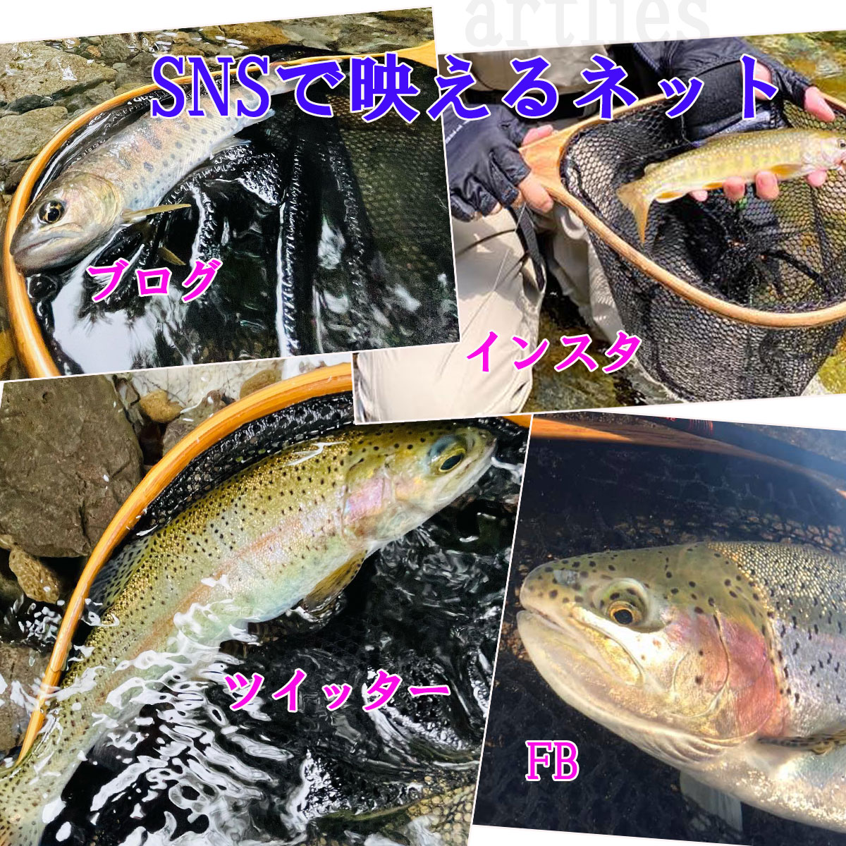 トラウトにピッタリの使いやすさとsnsの写真映えに ランディングネット 木製トラウト 網 カーブ 本流 渓流 安いそれに目立つ 管理釣り場 大型 バス エリア ニジマス ヤマメ サクラマス イワナ シーバス