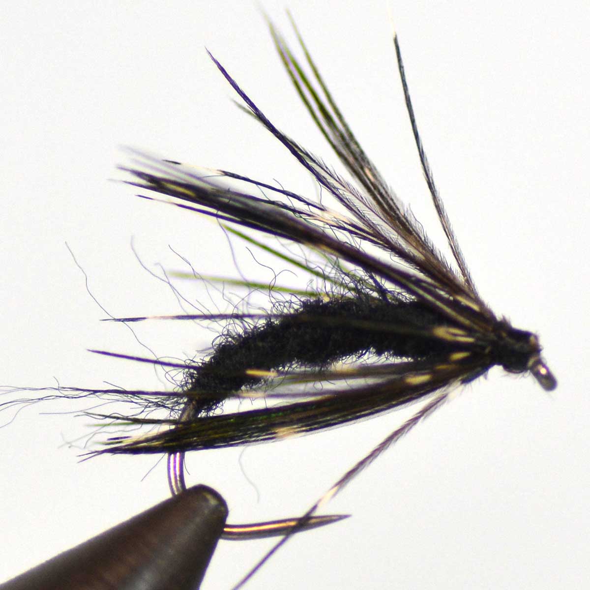 【本日ポイントアップ】フェザントハックルピューパ ブラック (#10 #12) ニンフ バーブレス│バーブド ..