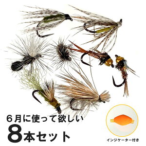 初心者におススメの6月フライ8本+目印付セット (バーブレス/バーブド)フライフィッシング入門 梅雨時期 渇水対応フライ