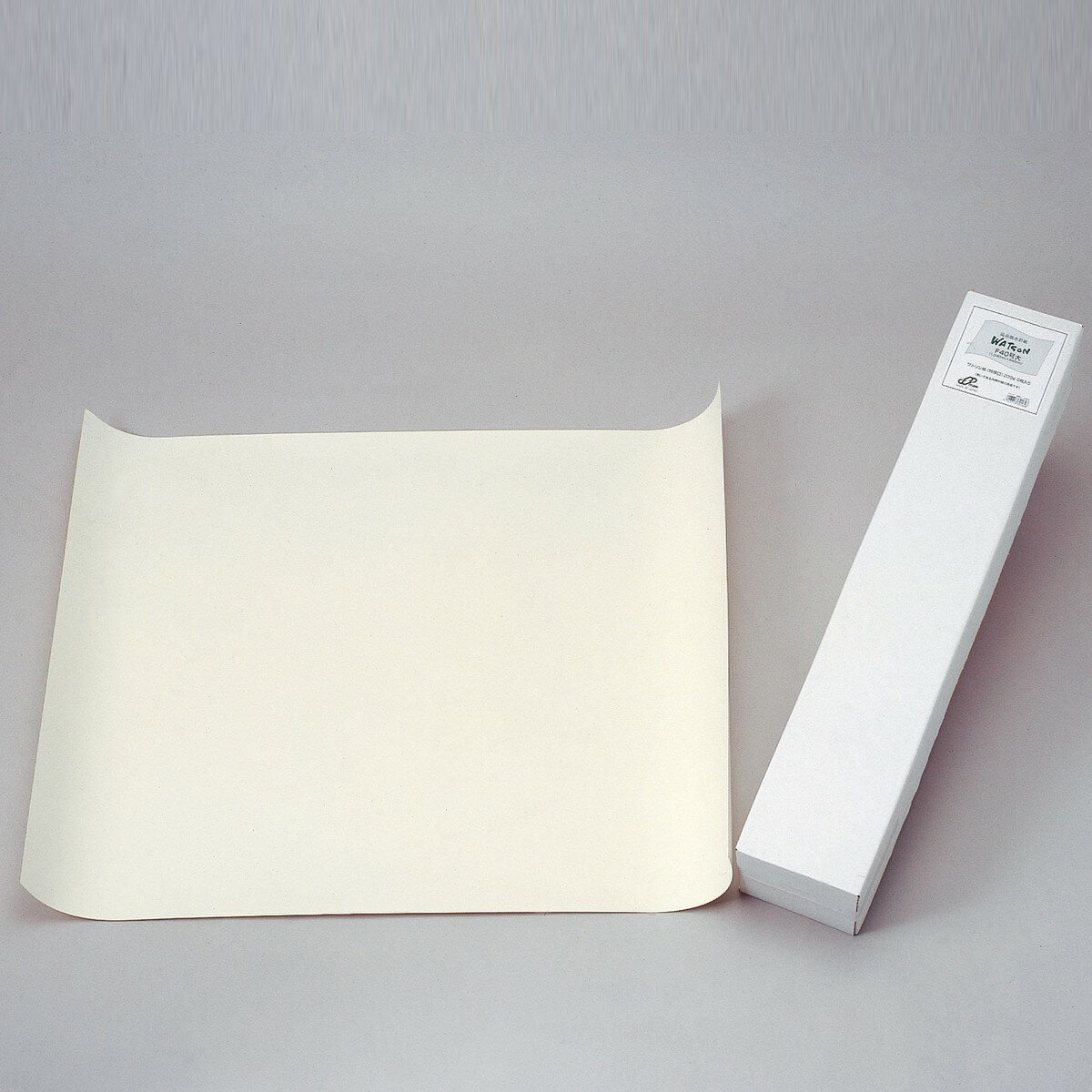 お取り寄せ品 水彩紙 ワトソン紙 特厚口 カット判 F60号大 5枚組 【 描画用紙 絵画 スケッチ 水彩 用紙 】＜送料別途＞