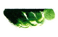 [ メール便可 ] マツダ スーパー油絵の具 スーパーグリーンディープ 6号 20ml 1本 【 油絵具 油彩 絵具 松田 】...