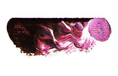 メール便可 マツダ スーパー油絵の具 パープルマダー 6号 20ml 1本 【 油絵具 油彩 絵具 松田 】
