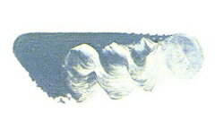 [ メール便可 ] マツダ スーパー油絵の具 グレーオブグレー 6号 20ml 1本 【 油絵具 油彩 絵具 松田 】