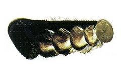 [ メール便可 ] マツダ クイック油絵の具 バーントアンバー 6号 20ml 1本 【 油絵具 油彩 絵具 松田 】