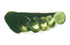 [ メール便可 ] マツダ クイック油絵の具 グリーングレー 6号 20ml 1本 【 油絵具 油彩 絵具 松田 】