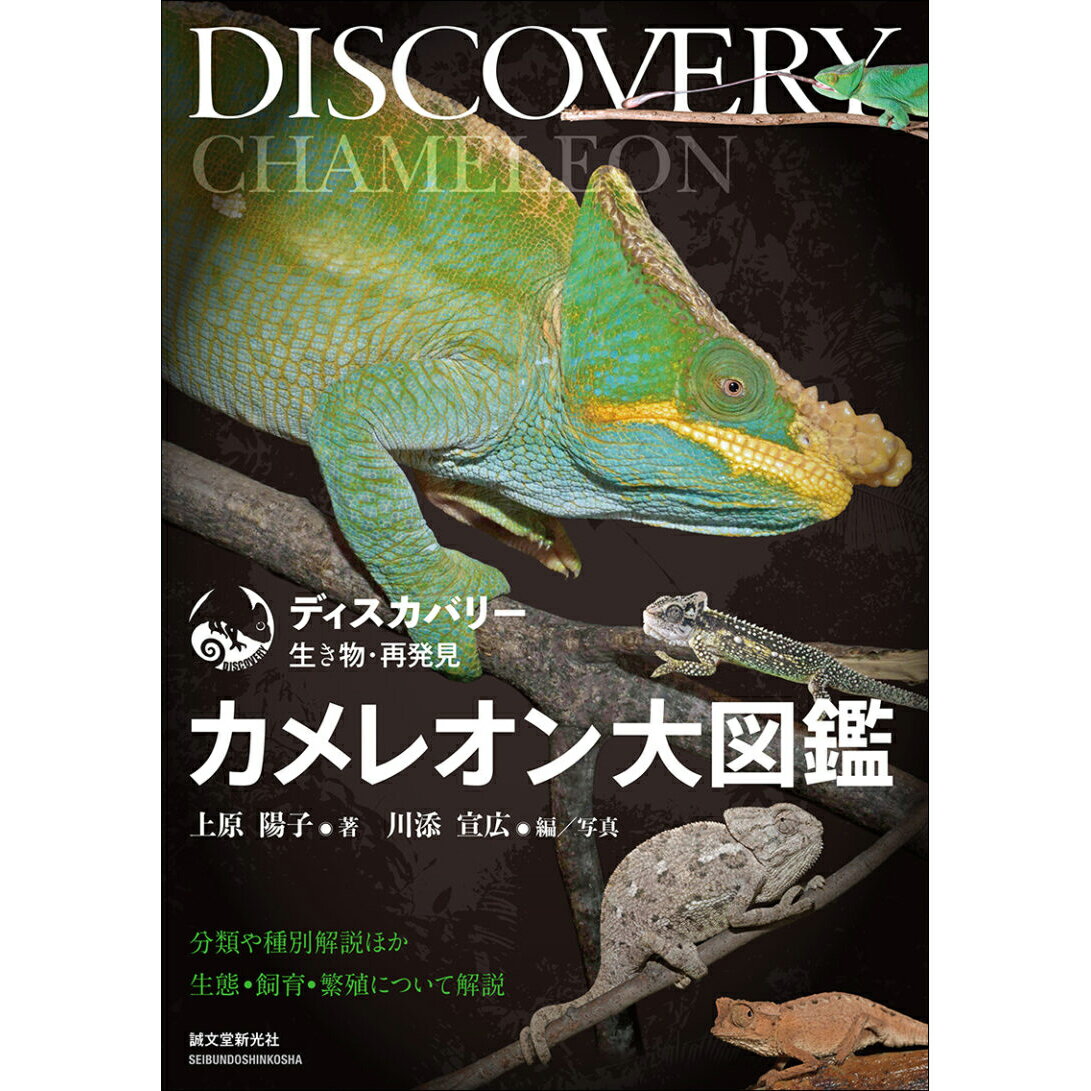 [ メール便可 ] ディスカバリー 生き物・再発見 カメレオン大図鑑 誠文堂新光社 【 プレゼント かめれおん 子供 小学生 幼稚園 保育園 入学 入園 祝い お祝い 】