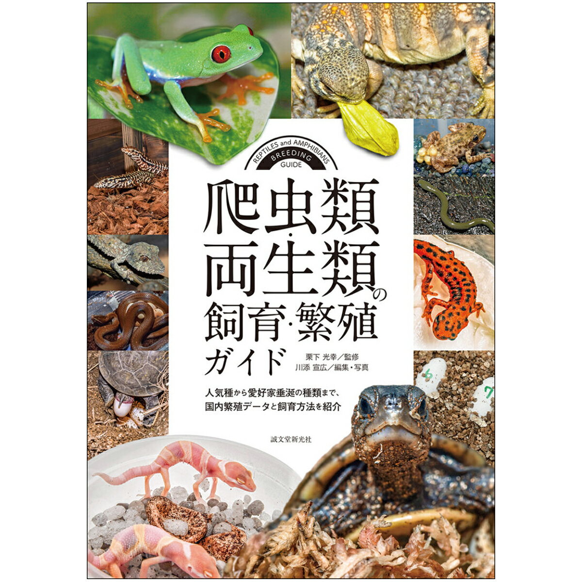 爬虫類・両生類の飼育・繁殖ガイド 書籍 誠文堂新光社