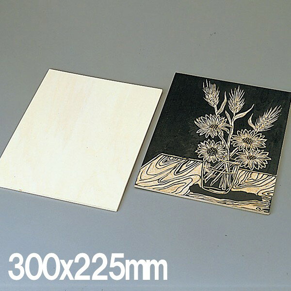 [ �᡼���ز� ] �ǲ��� ���ʥ٥˥��� ξ�� 4mm�� 300��225mm �� ǯ��� ���� �ǲ��� �ǲ� ��