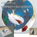 <在庫処分> コンパクトなアナモルフォーズ 円錐 不思議な視覚の世界を体験しよう