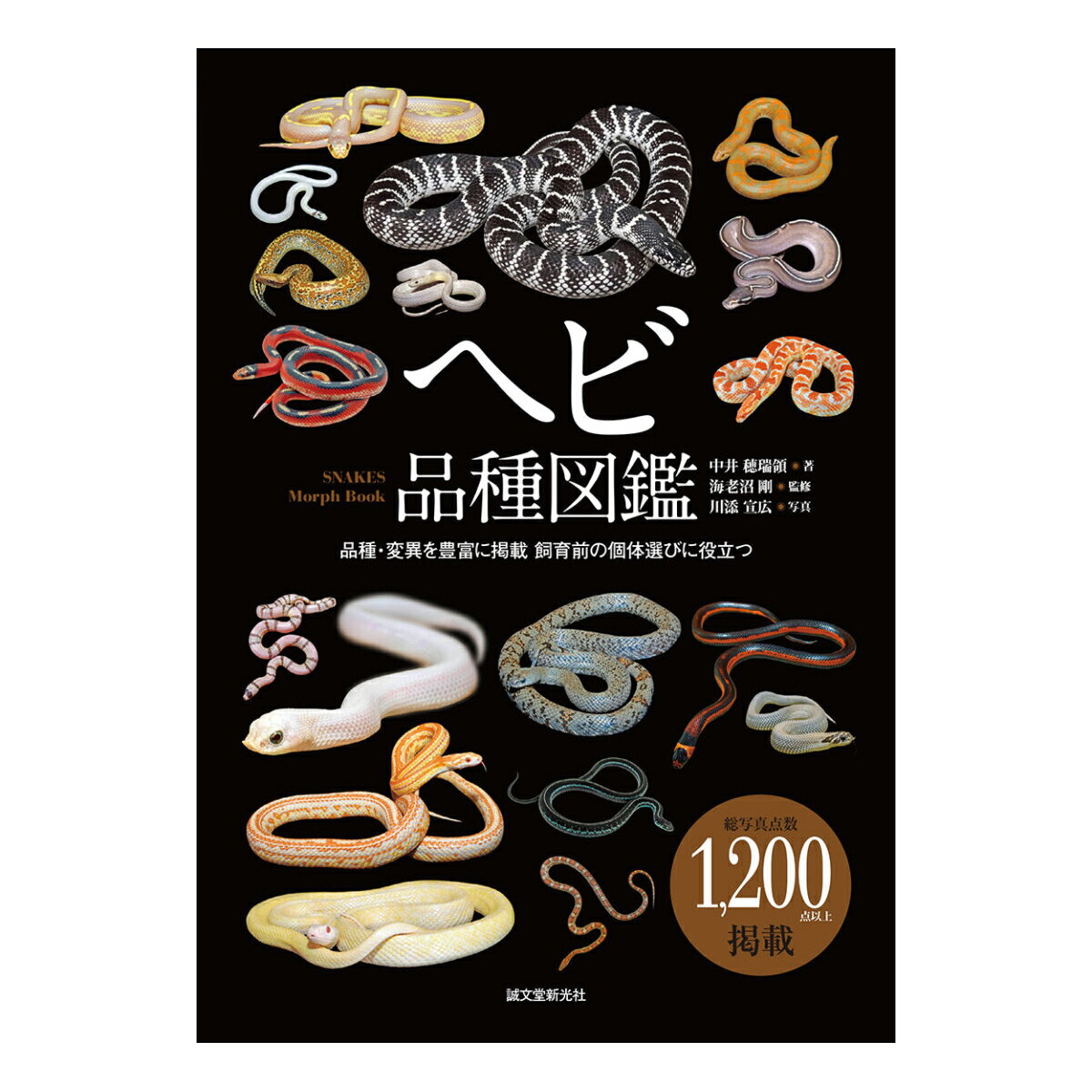 ヘビ品種図鑑 誠文堂新光社 書籍 【 へび 図鑑 蛇 プレゼント ギフト 】