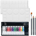 <当店オリジナル> NICKER ニッカー ファン・アクリックガッシュ デザインセット S 三原色入 12色13本 デザイン筆emu3本付