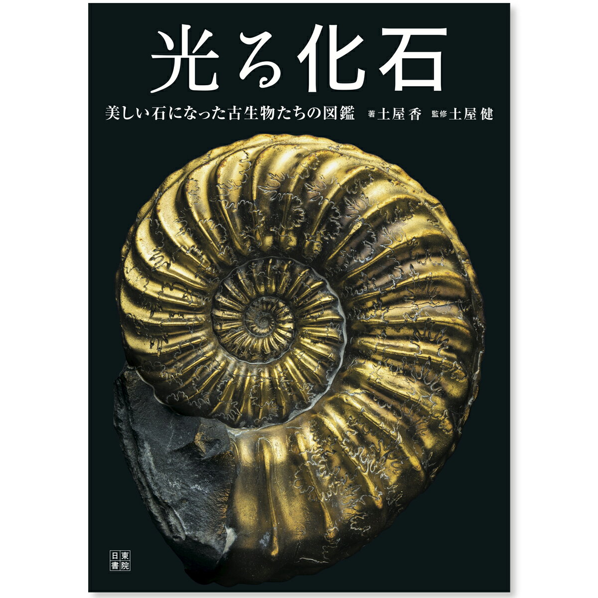 光る化石 美しい石になった古生物たちの図鑑 日東書院本社 全176ページ フルカラー B5判 書籍 【 化石図鑑 化石ずかん 古代生物 】 1