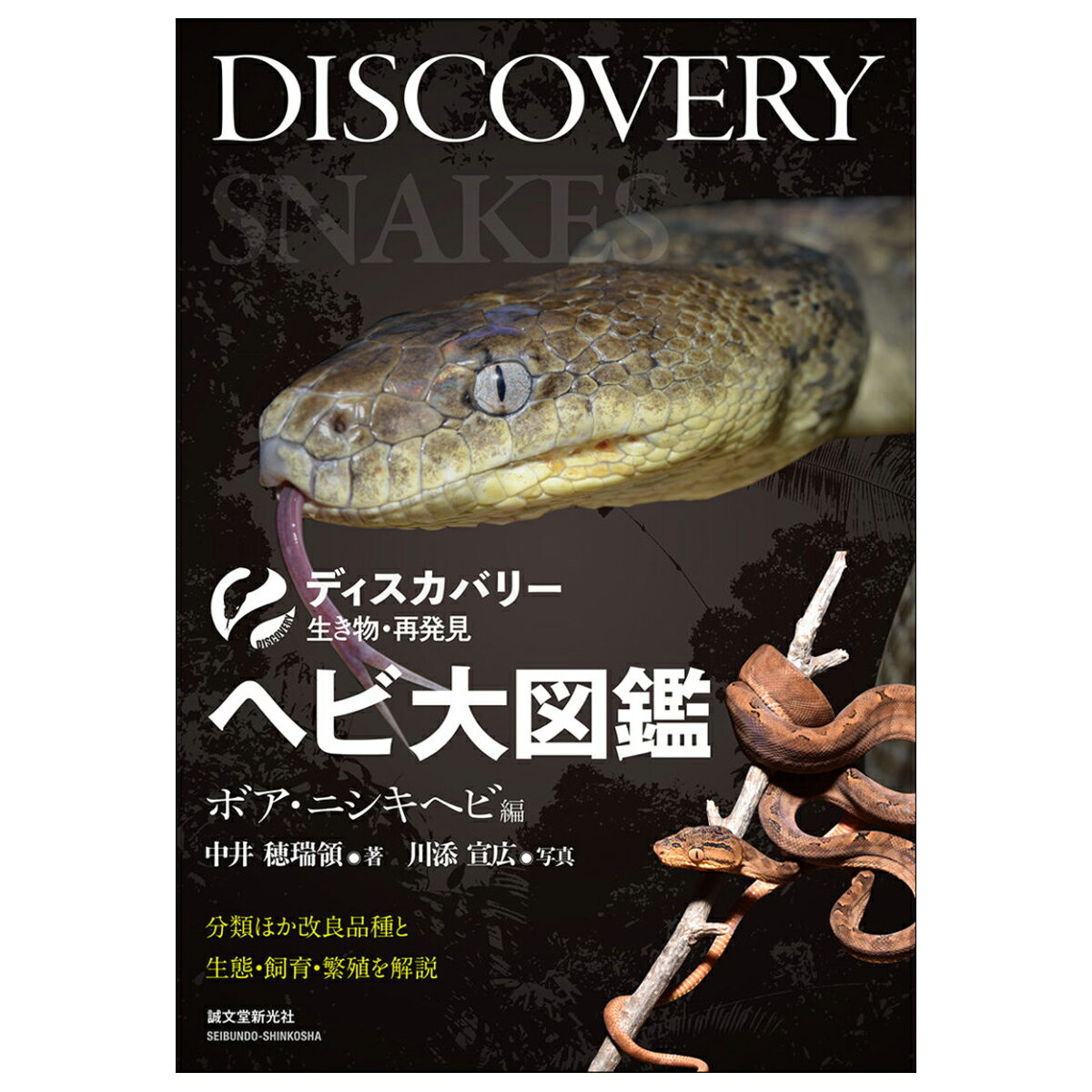 [ ᡼ز ] إ޴ ܥ˥إ ʸƲ   ؤ  ܥإ ˥إ ץ쥼 ե 