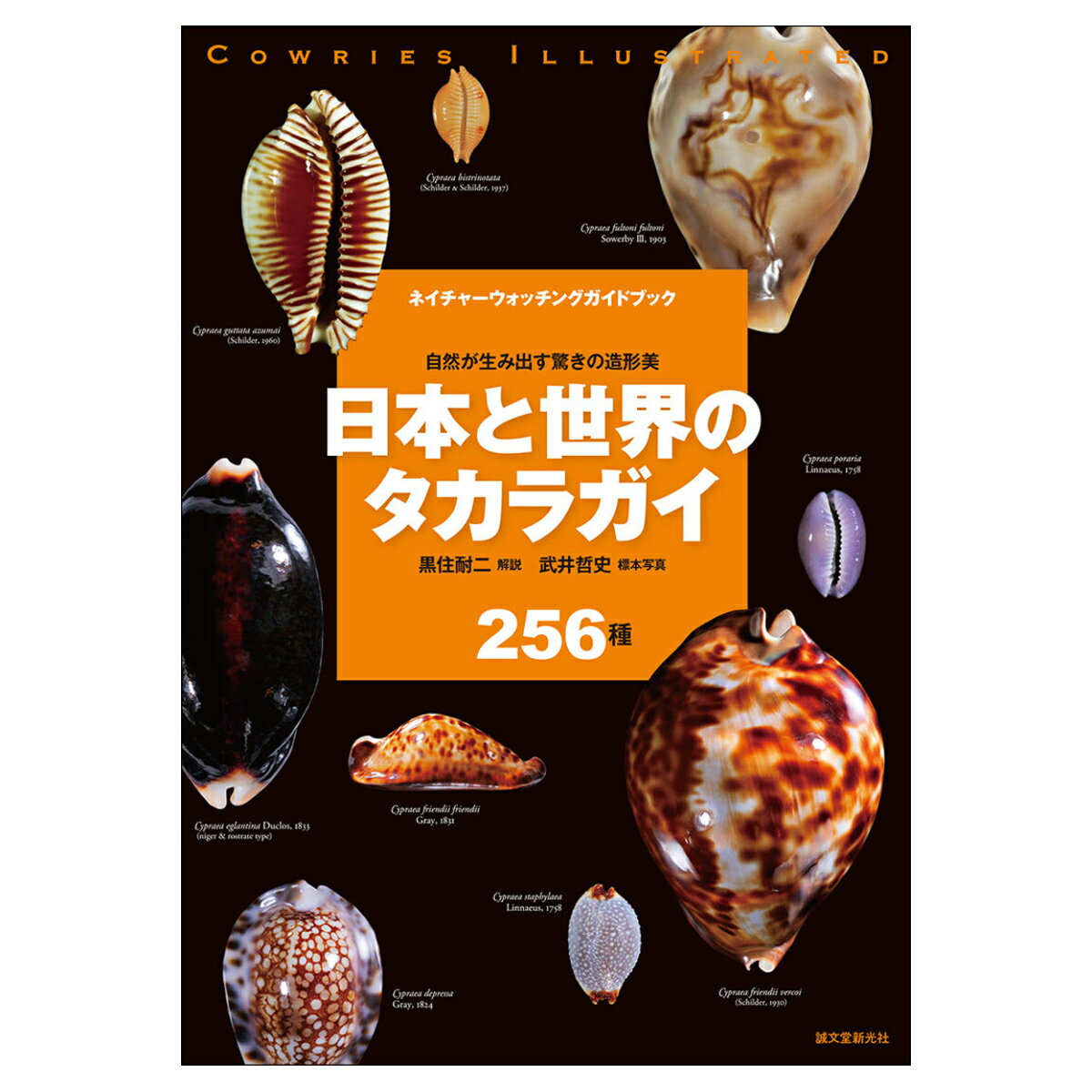 [ メール便可 ] 日本と世界のタカラガイ 誠文堂新光社 書籍 【 日本 世界 貝殻 貝殻図鑑 タカラガイ たからがい 】