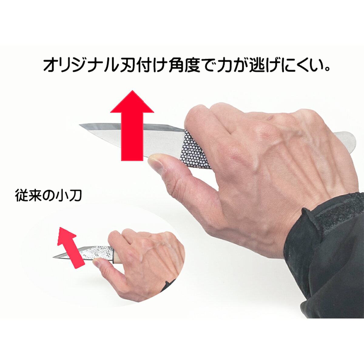 ƻ��ʪ���� �ϥ��� ��Ħ���� Ǧ���� �������� �ץ������� ��Ĺ190mm �����ع� �� �ҿ� �ʥ��� ������ ���� �����ȥɥ� ��