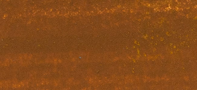 乐天商城 - ＜お取り寄せ品＞ クサカベ ピグメント 205 トランスイエローオキサイド #500 顔料 Transparent Yellow Oxide