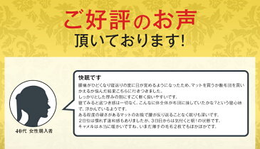 日本製 キャメル敷ふとん クイーン