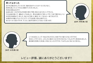 日本製 キャメル敷ふとん クイーン