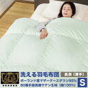 洗える羽毛布団 《薄掛(肌掛)》 シングル ポーランド産ホワイトマザーグースダウン95% (440dp以上) 羽毛量0.5kg 【6つ星プレミアムゴールド取得】【グッドふとんマーク取得】 その1