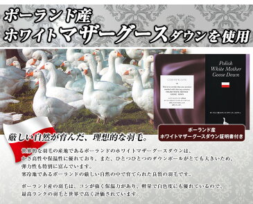 最高級羽毛布団《バウアー》ダブル ポーランド産ホワイトマザーグースダウン95% (440dp以上) 羽毛量1.7kg 【6つ星プレミアムゴールド取得】【グッドふとんマーク取得】