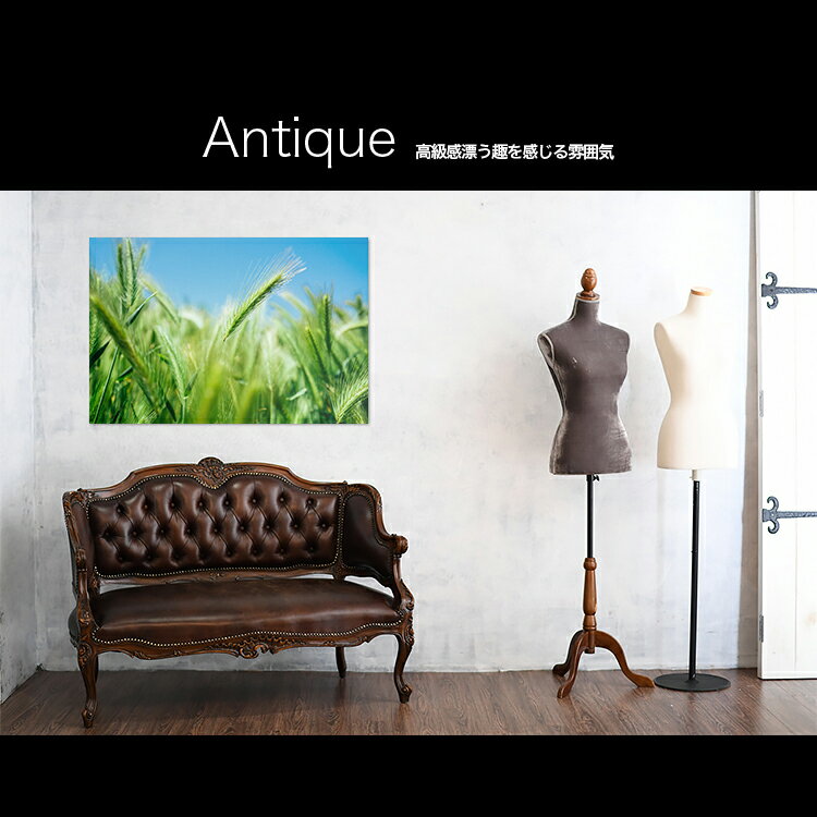 【日本製】アートパネル ボード artmart アートマート 写真 アルミフレーム おしゃれ 綺麗 コーディネート 壁紙 額縁 ウォールステッカー フォト 小物 部屋 オフィス ホテル 旅館 病院 ホールのイメージアップ モノトーン 花 海 モノクロ 北欧 自然_緑_0012 3