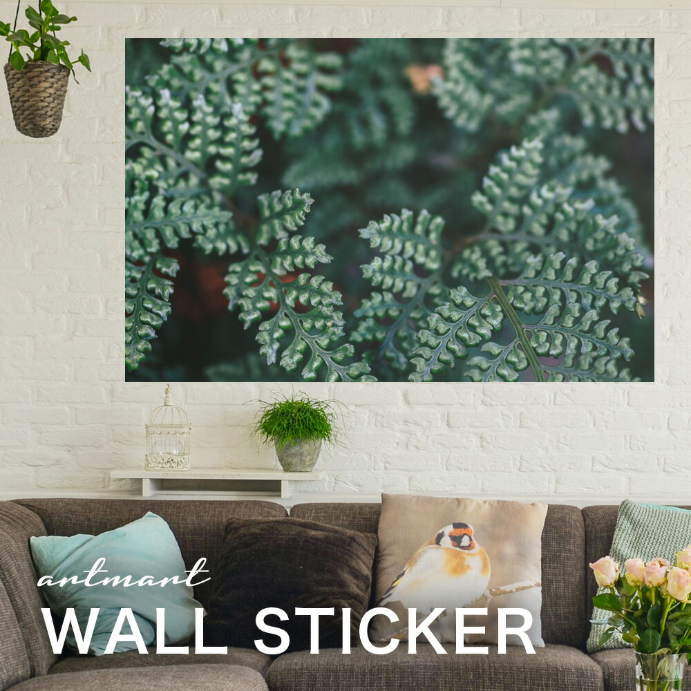 ウォールステッカー アートパネル アート 壁紙シール 壁シール インテリア ステッカー 写真 装飾 壁紙 ..