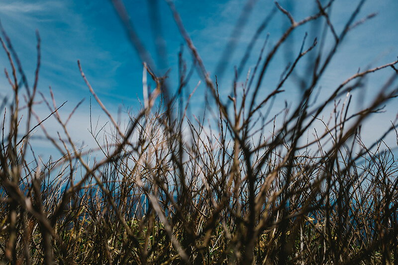 【日本製】アートパネル ボード artmart アートマート 写真 アルミフレーム おしゃれ 綺麗 コーディネート 壁紙 額縁 ウォールステッカー フォト 小物 部屋 オフィス ホテル 旅館 病院 ホールのイメージアップ モノトーン 花 海 モノクロ 北欧 自然_木_0830(3.0)