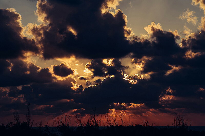 【日本製】アートパネル ボード artmart アートマート 写真 アルミフレーム おしゃれ 綺麗 コーディネ..