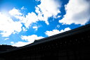 【日本製】アートパネル ボード artmart アートマート 写真 アルミフレーム おしゃれ 綺麗 コーディネート 壁紙 額縁 ウォールステッカー フォト 小物 部屋 オフィス ホテル 旅館 病院 ホールのイメージアップ モノトーン 花 海 モノクロ 北欧 風景_日本_DSC_6408