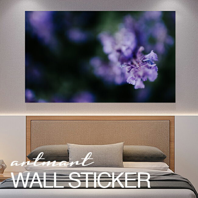 乐天商城 - ウォールステッカー アートパネル アート 壁紙シール 壁シール インテリア ステッカー 写真 装飾 壁紙 北欧 自然 おすすめ おしゃれ 人気 綺麗 部屋 ショップ リビング オフィス ダイニング デザイン 家具 貼る コーディネイト アートマート 自然_花_itk-0900