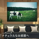 【日本製】アートパネル ボード artmart アートマート 写真 アルミフレーム おしゃれ 綺麗 コーディネート 壁紙 額縁 ウォールステッカー フォト 小物 部屋 オフィス ホテル 旅館 病院 ホールのイメージアップ モノトーン 花 海 モノクロ 北欧 動物_牛_dsc_0905