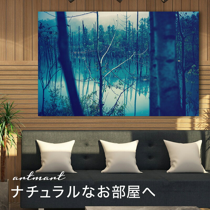 【日本製】アートパネル ボード artmart アートマート 写真 アルミフレーム おしゃれ 綺麗 コーディネート 壁紙 額縁 ウォールステッカー フォト 小物 部屋 オフィス ホテル 旅館 病院 ホールのイメージアップ モノトーン 花 海 モノクロ 北欧 自然_湖_dsc_1184