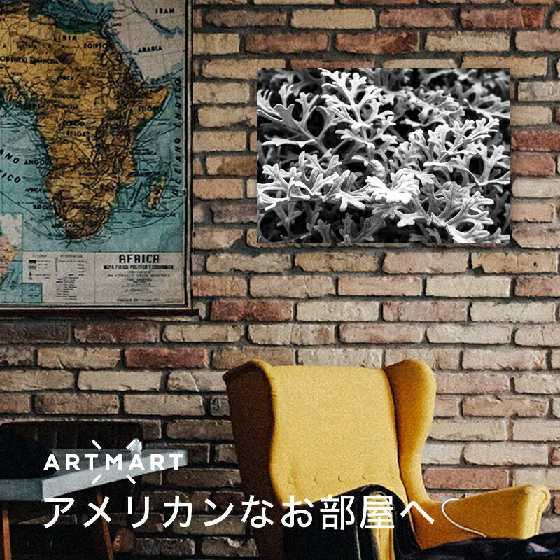 【スーパーSALE★10%OFF】 アートパネル ボード artmart アートマート 45×33 A3 海外 LA NY アメリカン雑貨 写真 おしゃれ 綺麗 コーディネート 壁紙 額縁 ウォールステッカー フォト 部屋 オフィス ホテル 病院 北欧 アンティーク レトロ 風景_アメリカ_DSC_4005 3