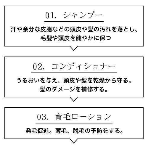 頭皮環境を正常化｜髪のダメージ補修効果もあるシャンプー