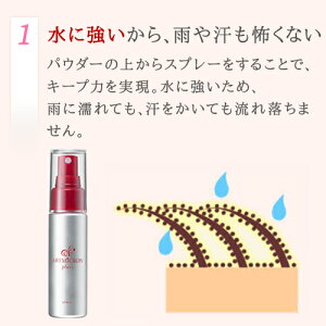 アートミクロンプラビパウダー8g/アートネイチャー公式通販/薄毛隠し薄毛かくし白髪隠し生え際白髪ヘアファンデーション白髪カバー増毛パウダー髪のボリュームアップレディース女性用送料無料