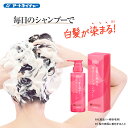 母の日 プレゼント ギフト 早割 公式 アートネイチャー iiRo（イーロ） 白髪を染めるカラーシャンプー 200mL 1本 単品 白髪染め 白髪 シャンプー 女性用 男性用 レディース メンズ 黒髪 生え際 根元